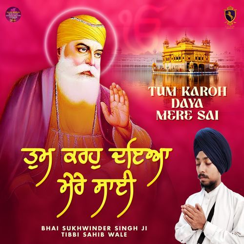 Tum Karoh Daya Mere Sai