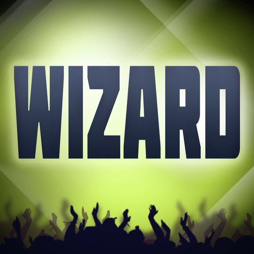 Wizard (A Tribute to Martin Garrix & Jay Hardway)