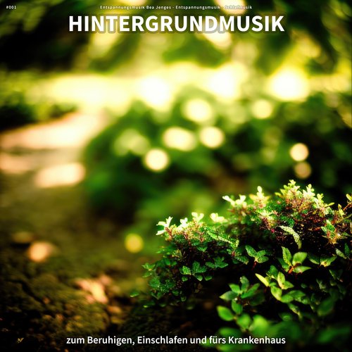 Entspannungsmusik cover art