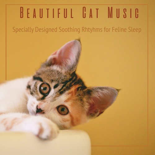 Beautiful Cat Music: Specially Designed Music for Feline Sleep