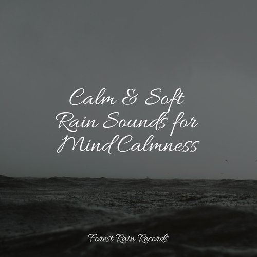 Calm &amp; Soft Rain Sounds for Mind Calmness_poster_image