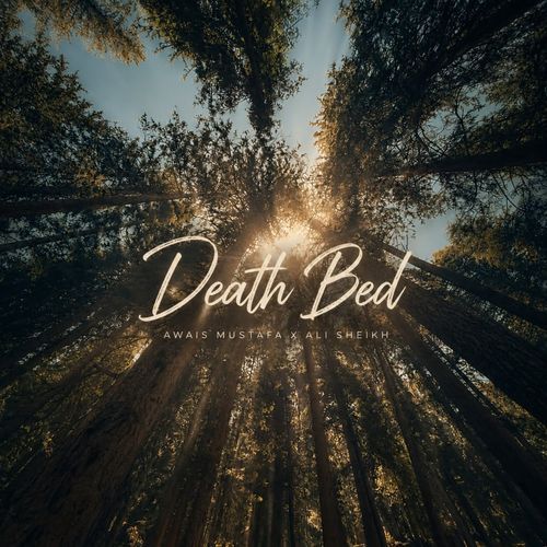 Death Bed