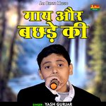 Gay aur bachhade ki (Hindi)