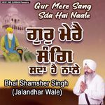 Gur Mere Sang Sda Hai Naale