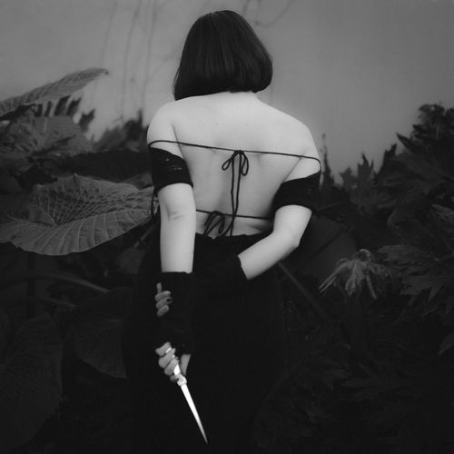 La daga cover art