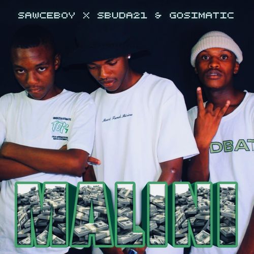 Malini cover art