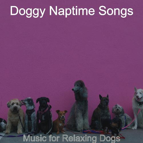 Music for Relaxing Dogs