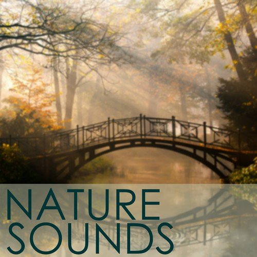 Natural Sound Series - Soft and Light Rain Storm for Deep Massage, Relaxtaion, Yoga, Meditation & Brain Stimulation for Brain Power_poster_image