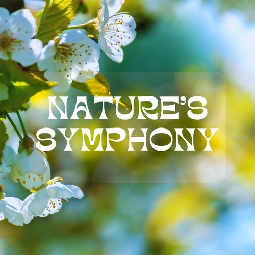 Nature's Symphony: Relaxing Sounds of Rain, Thunder, Birds and Ocean Waves