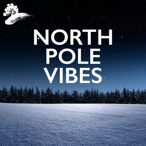 North Pole Vibes_poster_image