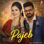 Pajeb