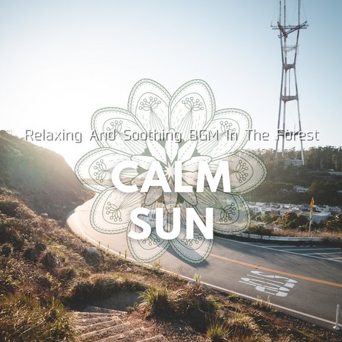 The Sun in the Sky