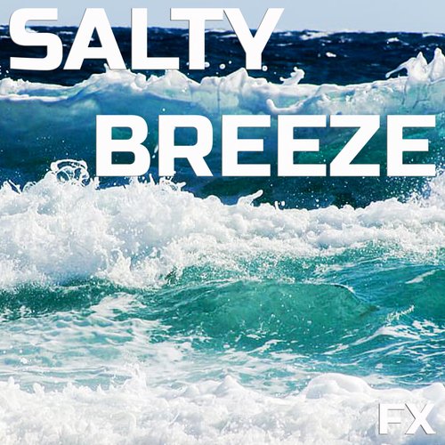 Healing Salty Breeze FX (FX Effects Remix) cover art