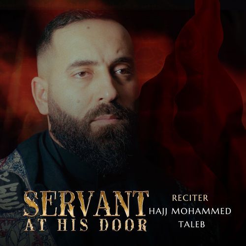 Servant at His Door cover art