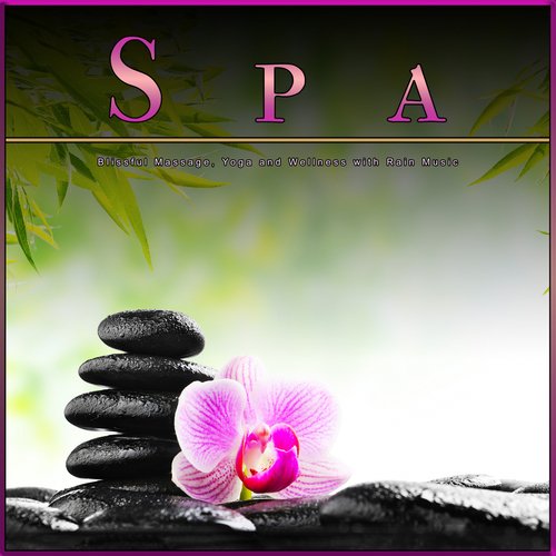 Background Instrumental Music cover art