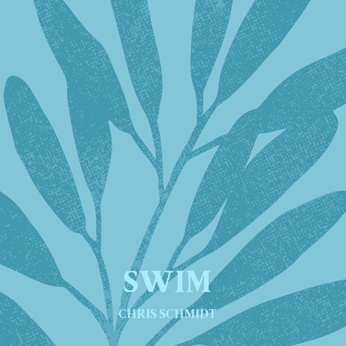 Party cover art