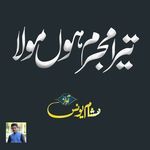 Tera Mujrim Hun Mola