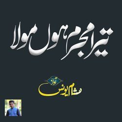 Tera Mujrim Hun Mola