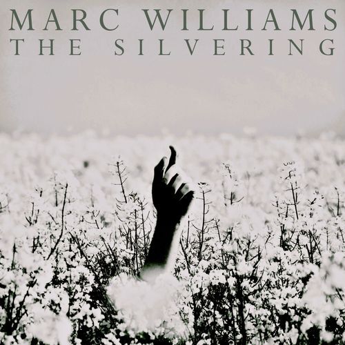 The Silvering
