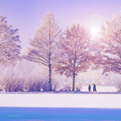 Ultimate Christmas and New Years Celebration Collection:  50 Fun Christmas and New Years Songs to Celebrate the Holidays