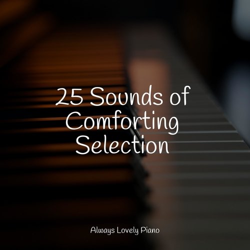 25 Sounds of Comforting Selection