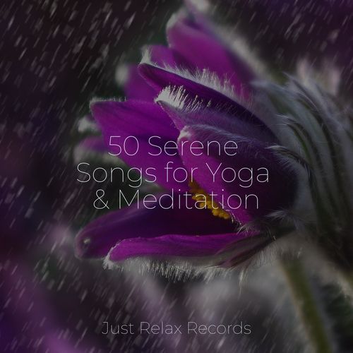 50 Serene Songs for Yoga & Meditation