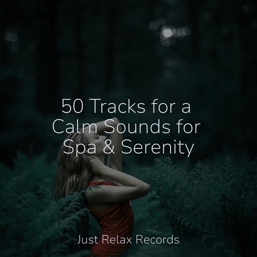 50 Tracks for a Calm Sounds for Spa & Serenity