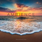 Gratitude (feat. Amelia Fong)