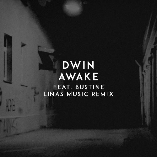 Awake (Linas Music Remix)_poster_image