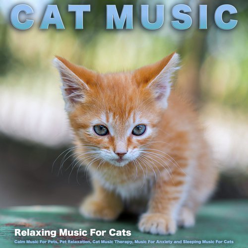 Cat Music Therapy cover art