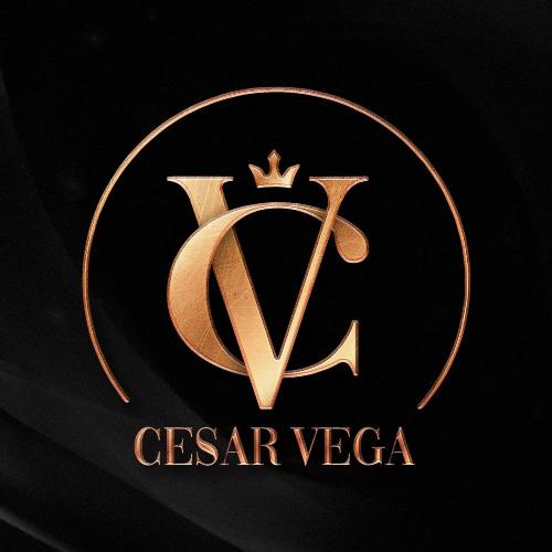 No Vale La Pena cover art