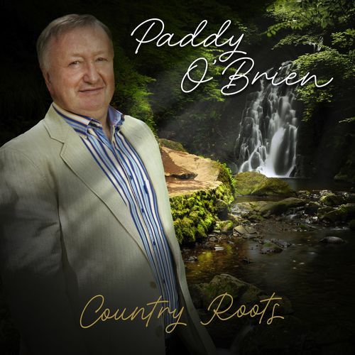 Born in Ireland cover art