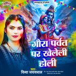 Gaura Parvat Par Kheleli Holi