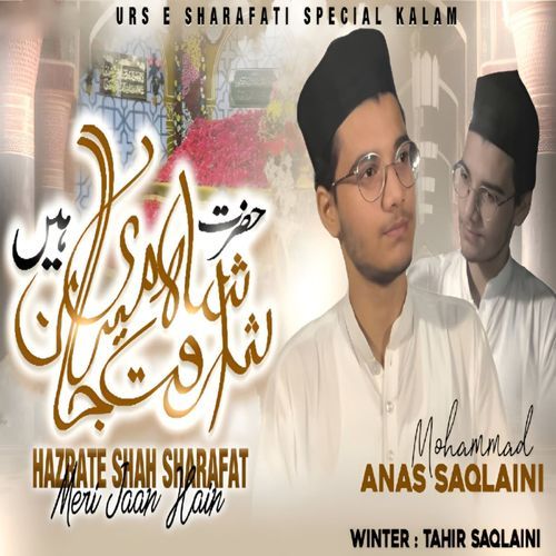 Hazarte Shah Sharafat Meri Jaan Hain