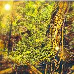 Jungle Balance (Deep Relaxation Frequencies)