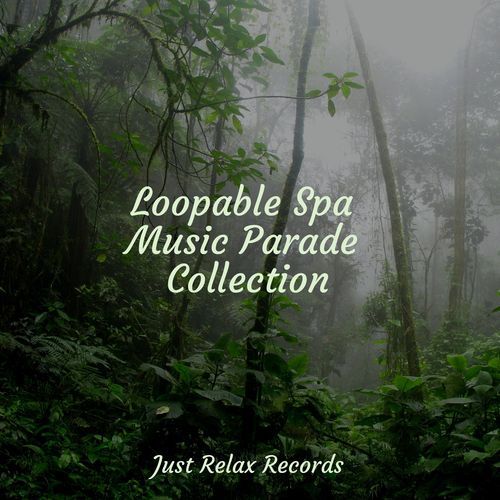 Loopable Spa Music Parade Collection