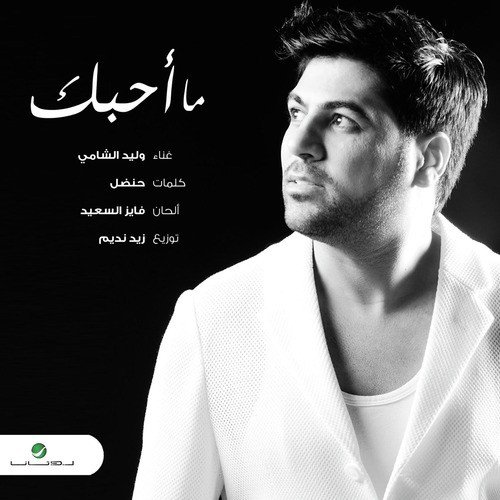 Waleed Alshami