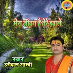 Mera Jivan Hai Tere Havale