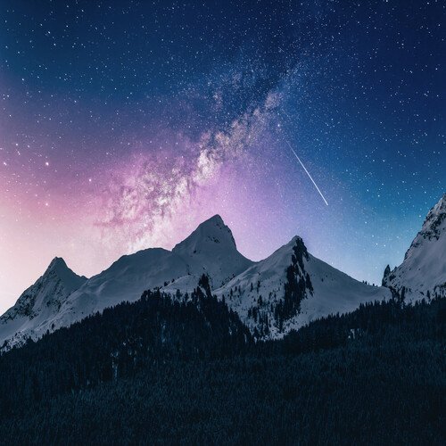 Travis cover art