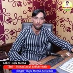 Nanad aayi dekhbe melo (rl meena geet)