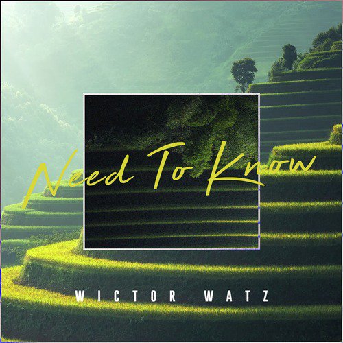 Need to Know cover art