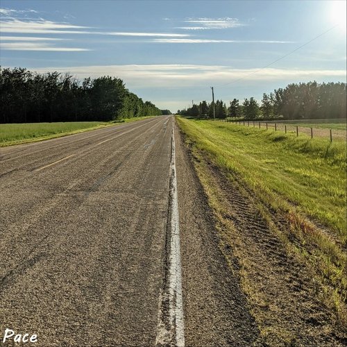 Pace cover art