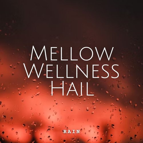 Ideal Lodge cover art