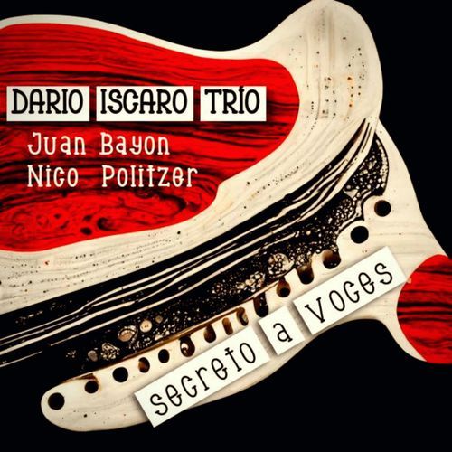Salvo cover art