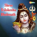 Shree Trilokesha Bholenath