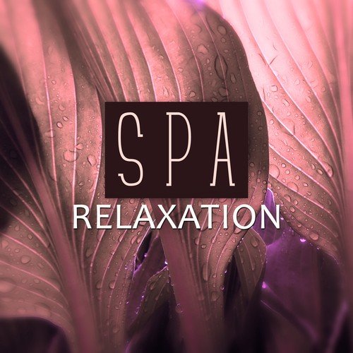Spa Relaxation – Beautiful Moments in Spa, Your Free Time, World Islands, Sea, Ocean Waves, Nature