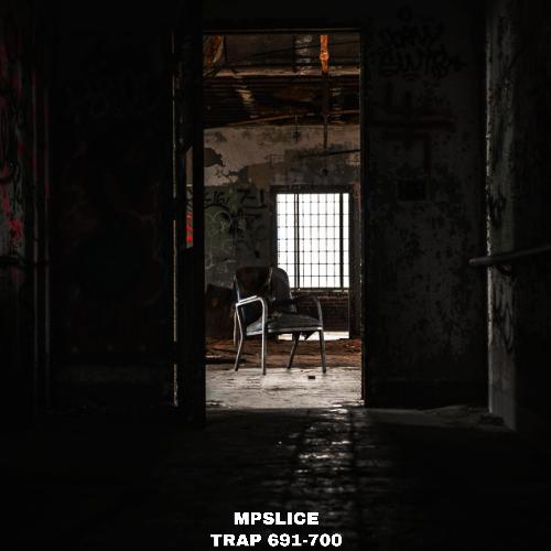 TRAP SIX HUNDRED N NINETY SIX cover art