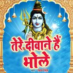 Tere Deewane Hai Bhole