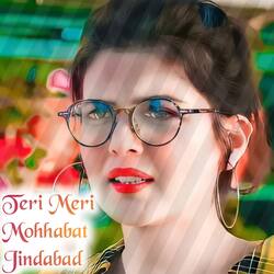 Teri Meri Mohhabat Jindabad-SDE-cBIdRUo