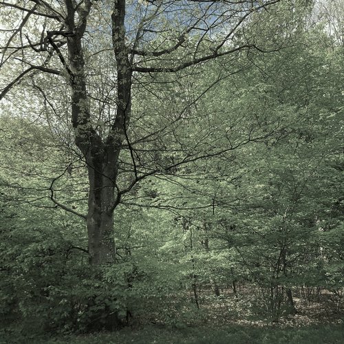 James cover art